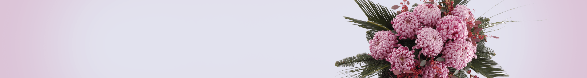 Wszystkich Świętych Wasza